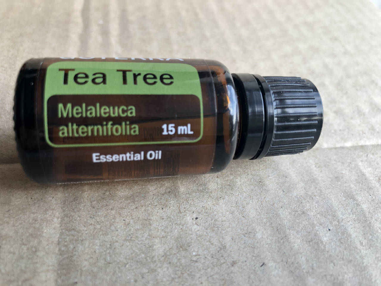 

Эфирное масло Чайное дерево Tea Tree (Melaleuca alte) лучшее противогрибковое средство, 15 мл