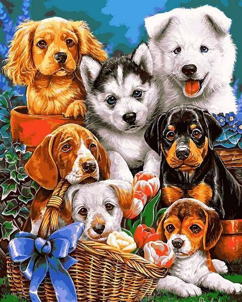 

Картина по номерам Озорные щенки 40 х 50 см (VP1104)