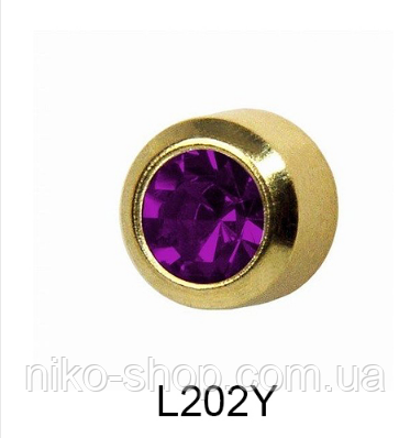 Завальцованные (аметист) 4мм L202Y, фото 1