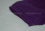 Футболка поло чоловіча фіолетова 65/35 Polo Fruit of the Loom,L, фото 5