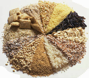 Готові комбікорми, БМВД та премікси