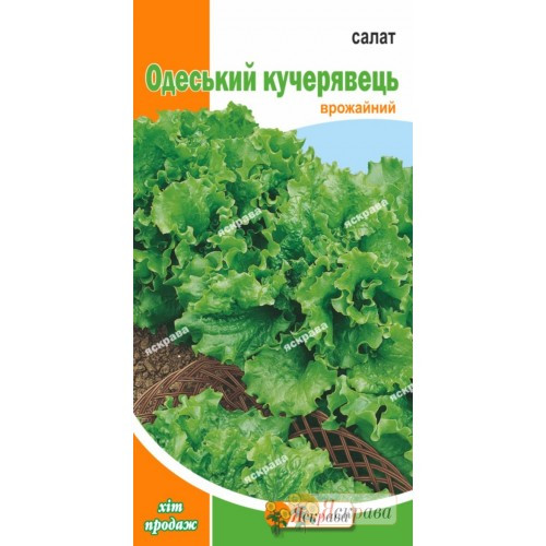 "Семена Салата "Одеський кучерявець" 2 г (Яскрава)"