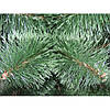 Сосна зелена розпушена 1,20 м, фото 2