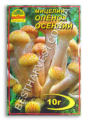 Міцелій «Опеньок Осінній» 10 г