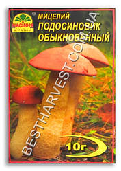 Міцелій «Подосиновик Звичайний» 10 г