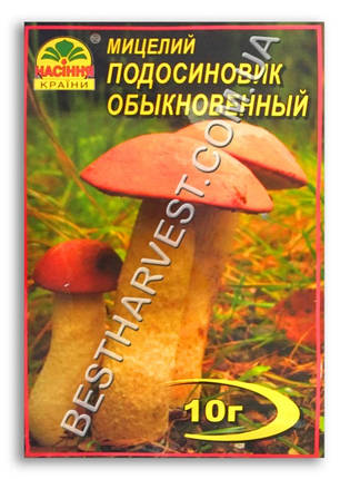 Міцелій «Подосиновик Звичайний» 10 г, фото 1