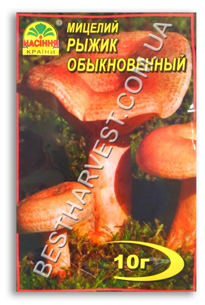 Міцелій «Рижик Звичайний» 10 г
