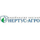 Насіння соняшника НС-Х-496 (Технологія СУМО® НЕРТУС), фото 3