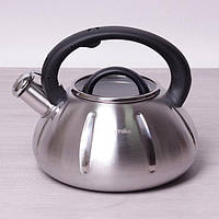 Чайник Kamille 3 л із неіржавкої сталі зі свистком і скляною кришкою