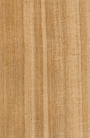 Шпон Кото Фарбований Табу Арт. 04