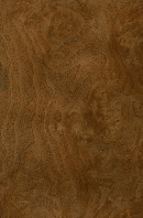 Шпон Горіх Американський Корінь Фарбований Табу Арт. A3