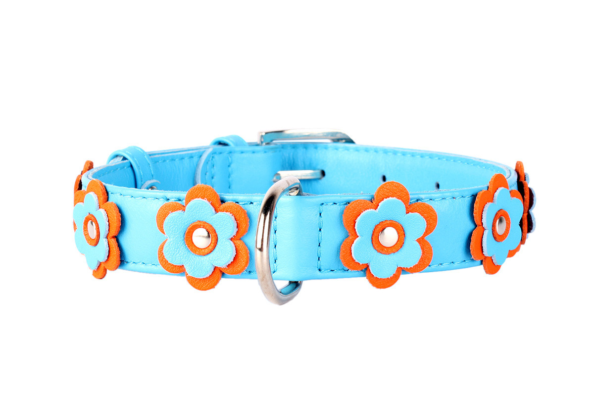 Нашийник шкіра 21-29 см 12 мм "квіточки" Гламур Collar для собак, фото 1