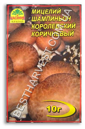 Міцелій «Шампіньйон Королівський коричневий» 10 г, фото 2