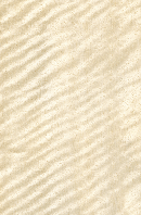 Шпон Таба Фризі Фарбований Табу L1.S