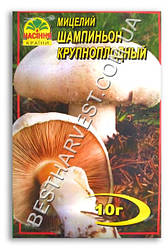 Міцелій «Печериця Великоплідна» 10 г