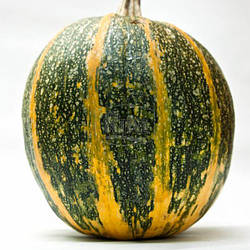 Гарбуз Міранда голосеної (Рива Трейд)