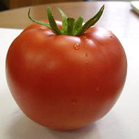 Насіння томату Лінда F1 (Linda F1), 1000 шт., детермінантного