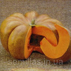 Насіння гарбуза Мускат де Прованс (Muscat deProvans), 500 гр.