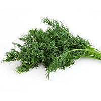 Насіння кропу Ділл (Dill), 50 гр.