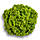 Насіння салату Локарно (Locarno), 1000 шт., листового, фото 2