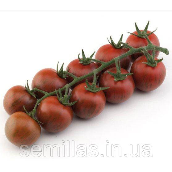 Насіння томату Тайгер F1(Tiger F1) 100 шт., чорного індетермінантного