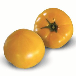 Насіння томату Ямамото F1 (KS 10 F1), 100 шт., жовтого індетермінантного (високорослого)