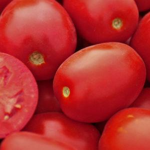 Насіння томату Пьетраросса F1 (Pietrarossa F1), 5000 шт., для переробки