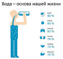 Скільки потрібно пити води в день?