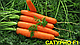 Насіння моркви Сатурно F1/Saturno F1 25000 насіння (2.00-2.25) Clause, фото 2