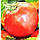Насіння томату Іванич F1 1г, фото 4
