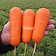 Насіння моркви Болівар F1 100.000 насіння (1.6-2.0) Clause, фото 7