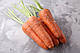 Насіння моркви Болівар F1 100.000 насіння (1.6-2.0) Clause, фото 2