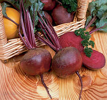 Насіння буряку Нобол F1/ Nobol F1 1 кг Clause