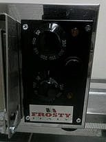 Frosty F1 піч для піци, фото 5