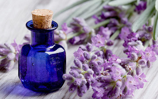 Масло лаванди