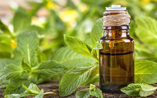 Олія м'яти перцевої