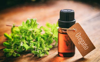 Масло орегано