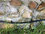 Туманоутворювач Ender, фото 5