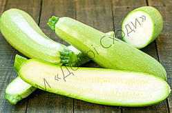 Кабачки Кавілі F1 (10 шт) - Nunhems