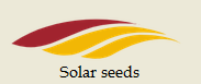 Насіння кукурудзи Ірис (ФАО 320) Solar Seeds (Франція)
