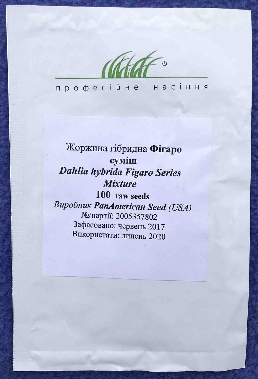 Насіння квітів Жоржина гібридна Фігаро суміш 100 шт