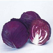 Насіння червонокачанної капусти проф