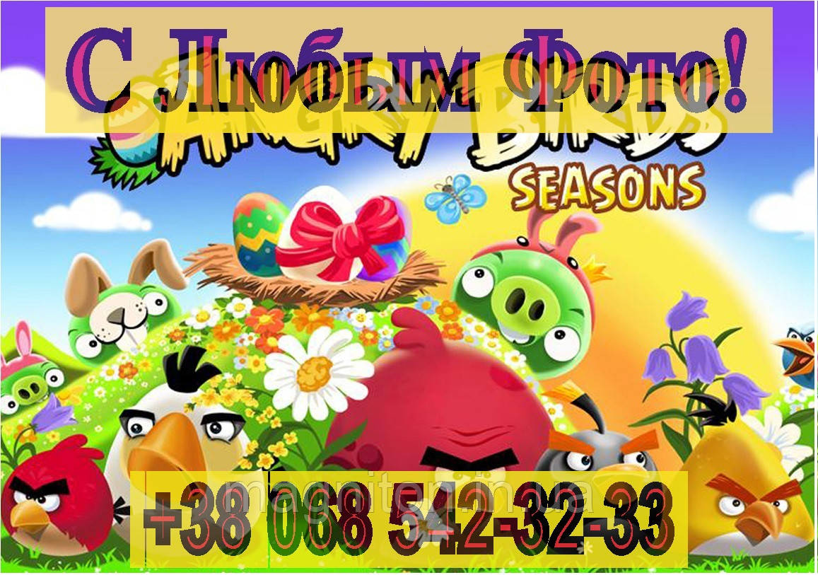 Магніт на холодильник вініловий. ANGRY BIRDS 3