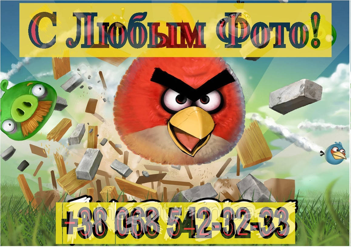 Магніти Дитячі ANGRY BIRDS 5