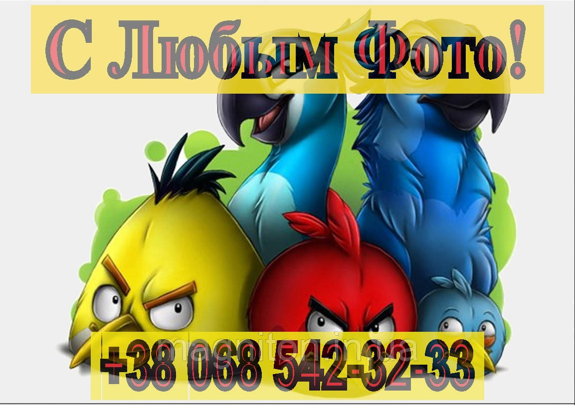Магніти Дитячі ANGRY BIRDS 7