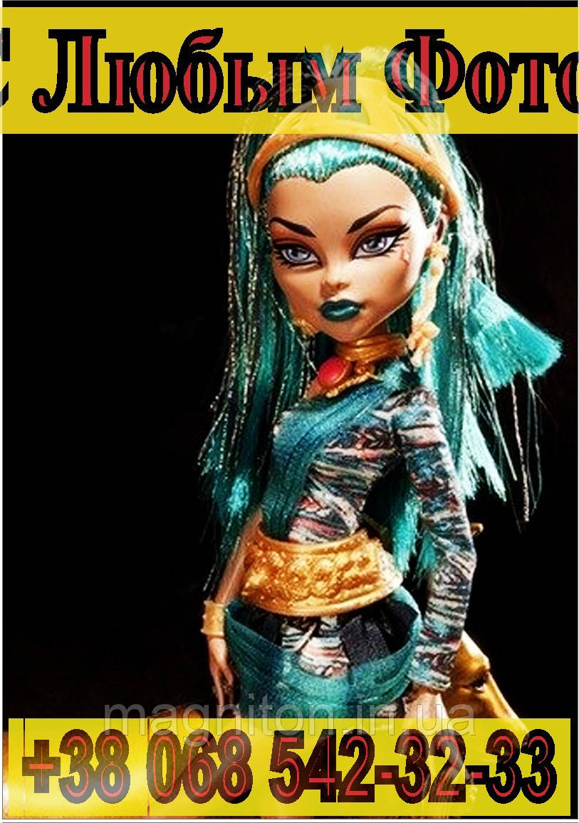Магніт на холодильник вініловий. MONSTER HIGH 3