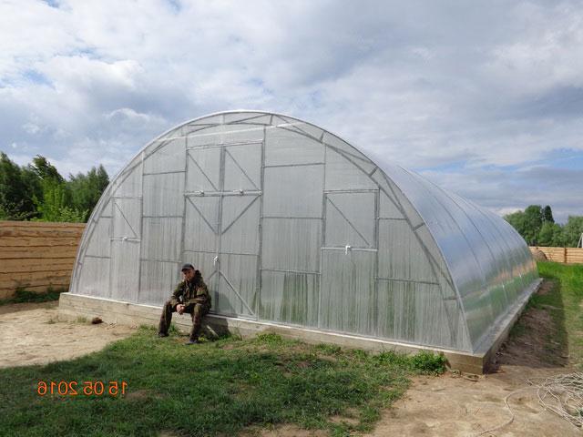 фермерская теплица под поликарбонат
