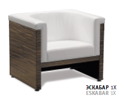 Диван офісний Enrandnepr Eskabar