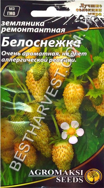 Насіння суниці «Білосніжка» 0.01 г