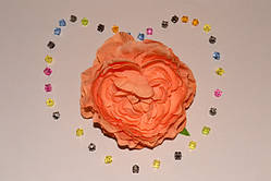 Головка Камелії цв.оранж